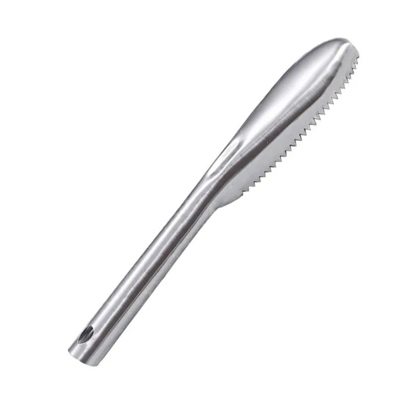 Fish Scaler Remover Cleaner With Sawtooth Easily Remove Fish Scales For Home Kitchen Fish Cleaning Seafood Tools Descaler