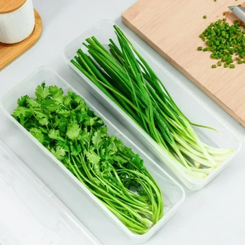1/5PCS Refrigerator Storage Boxes Scallions Coriander Fresh-keeping Box with Lids Reusable Kitchen Food Sealed Storage Container