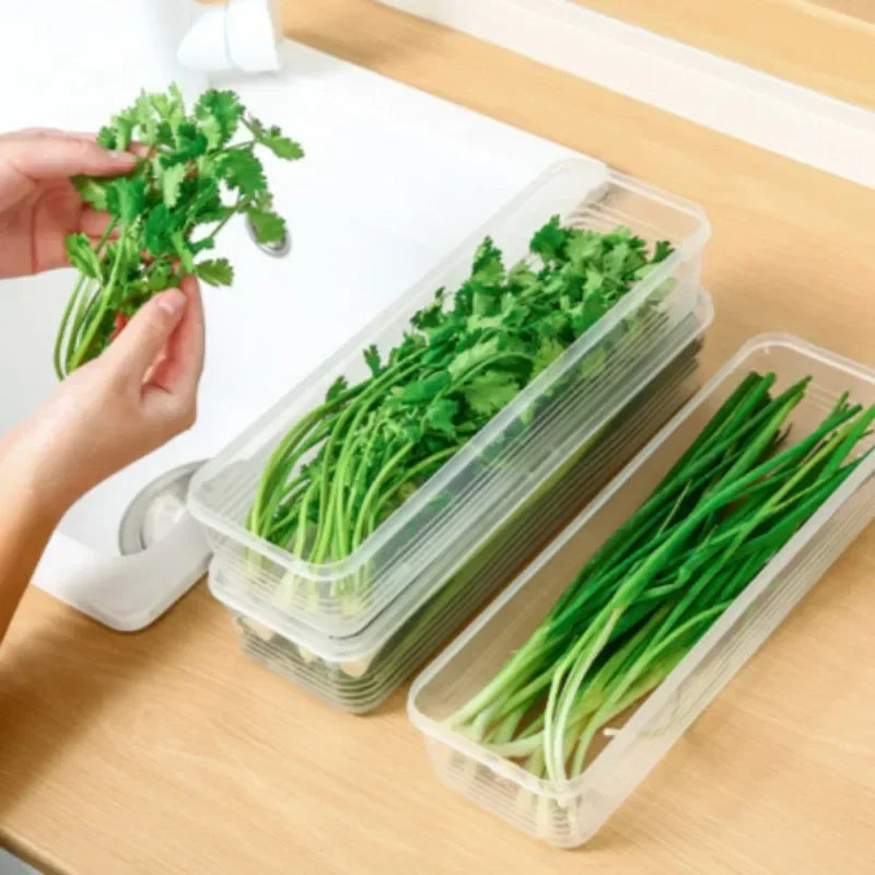 1/5PCS Refrigerator Storage Boxes Scallions Coriander Fresh-keeping Box with Lids Reusable Kitchen Food Sealed Storage Container