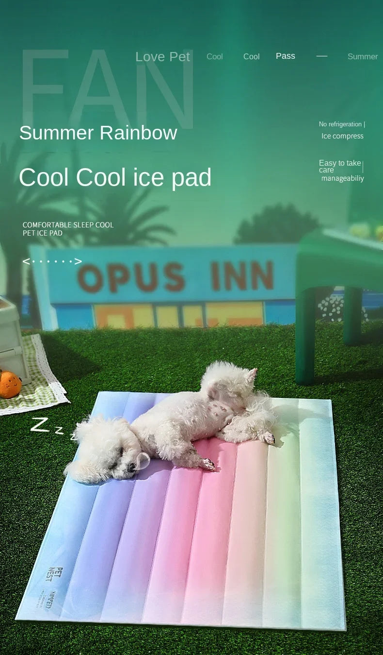 30*40cm Groothandel Kleurrijke Regenboog IJsmat Hondenbed Huisdiermat voor Katten en Honden