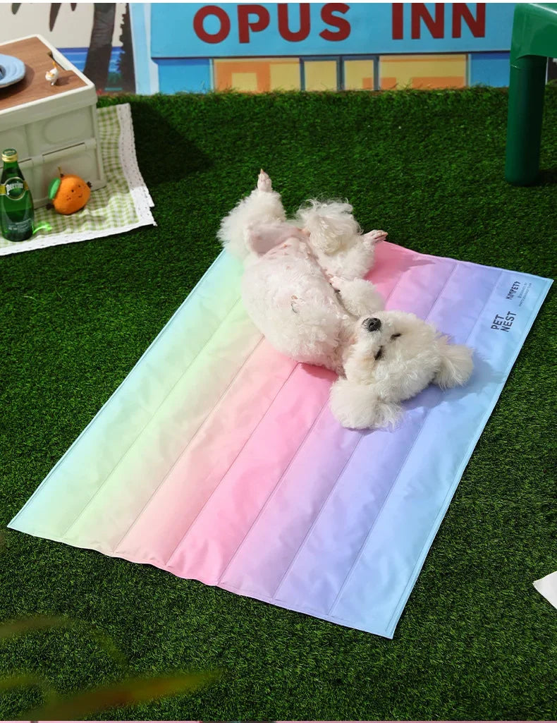30*40cm Groothandel Kleurrijke Regenboog IJsmat Hondenbed Huisdiermat voor Katten en Honden