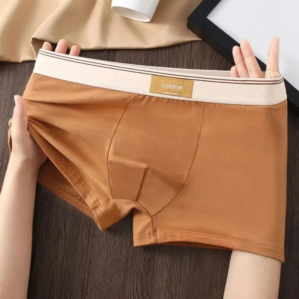 4 stuks ademende boxershorts voor heren, effen kleur, plus maten L-4XL, middelhoge taille, naadloos ondergoed, polyester, jongensondergoed