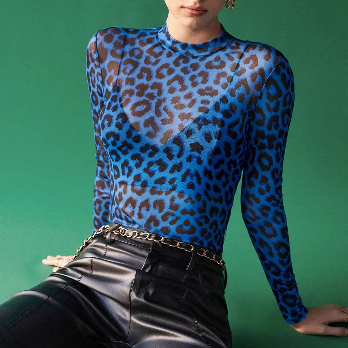 Women's T-Shirts Autumn Daily Basic Leopard Mesh Long Sleeve Crew Neck Fashion High Street T-Shirts