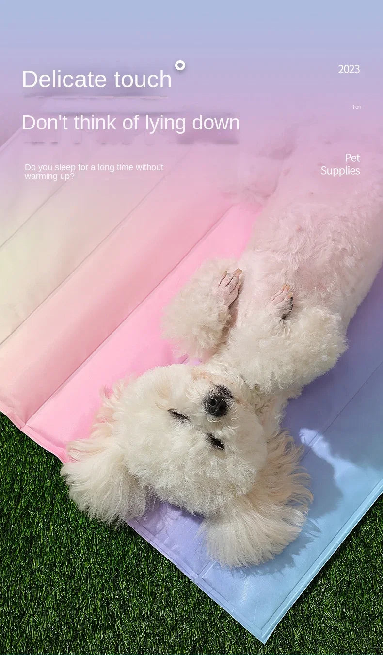 30*40cm Groothandel Kleurrijke Regenboog IJsmat Hondenbed Huisdiermat voor Katten en Honden