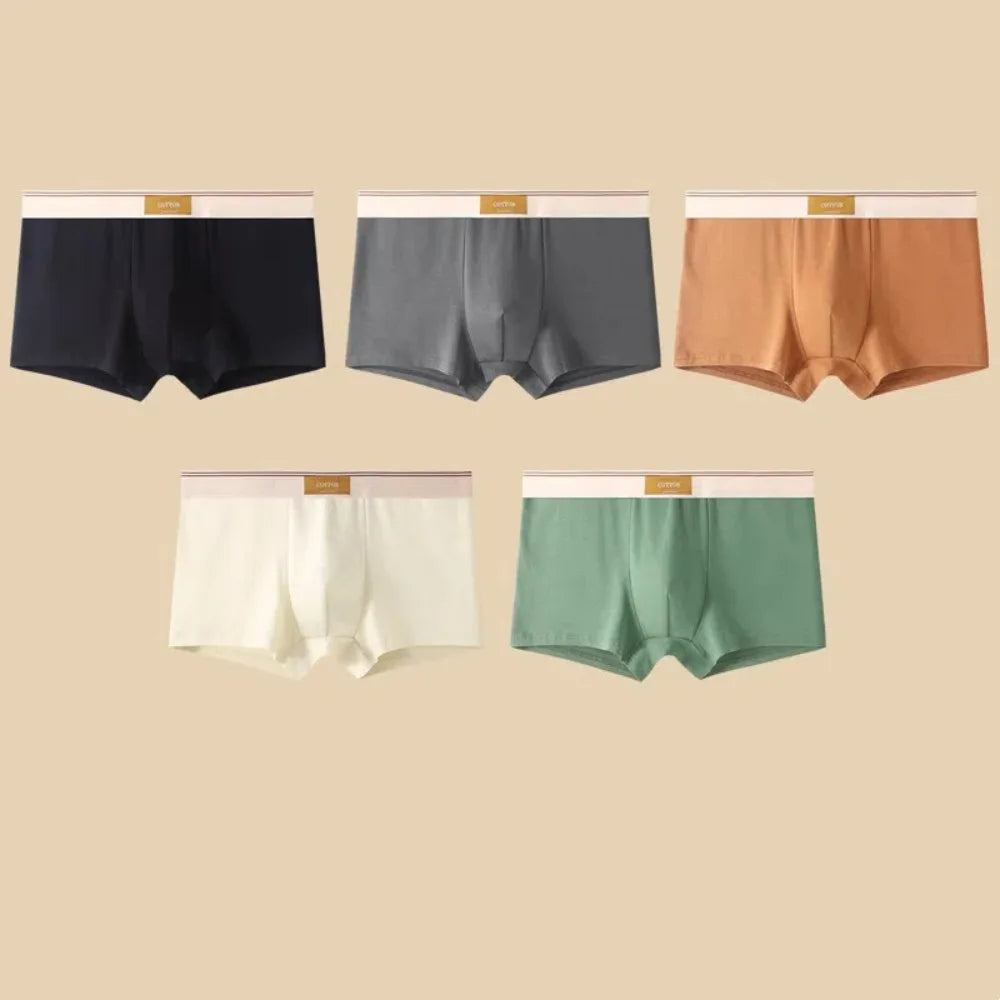 4 stuks ademende boxershorts voor heren, effen kleur, plus maten L-4XL, middelhoge taille, naadloos ondergoed, polyester, jongensondergoed