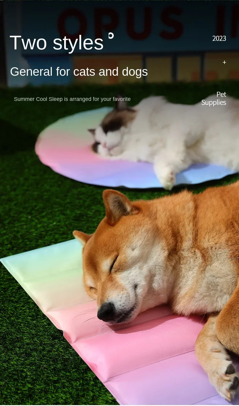 30*40cm Groothandel Kleurrijke Regenboog IJsmat Hondenbed Huisdiermat voor Katten en Honden