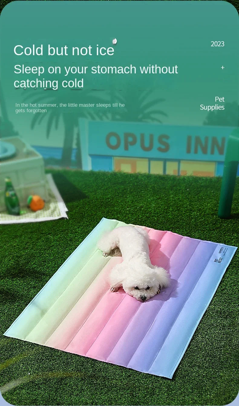30*40cm Groothandel Kleurrijke Regenboog IJsmat Hondenbed Huisdiermat voor Katten en Honden