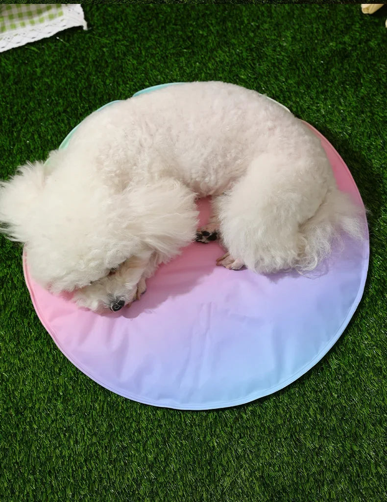 30*40cm Groothandel Kleurrijke Regenboog IJsmat Hondenbed Huisdiermat voor Katten en Honden