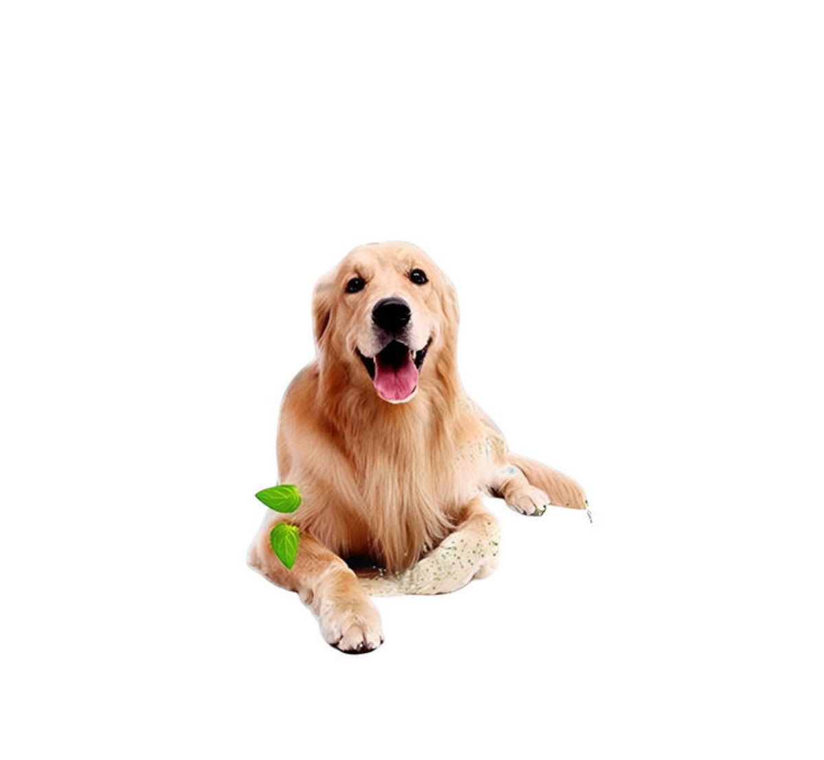 Pet Ice Silk Cold Nest Pad For Cooling In Summer - Suitable for Dogs And Cats