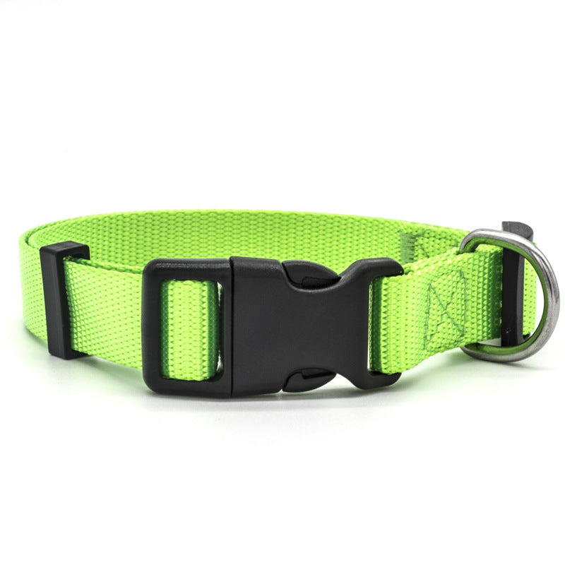 Pet Collar
