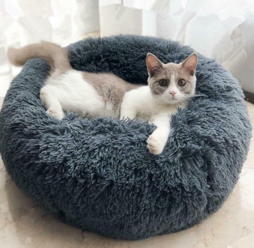 Pet Round Plush Beds For Small Dogs And Cats With Litter Kennel Feature - Suitable For a Puppy