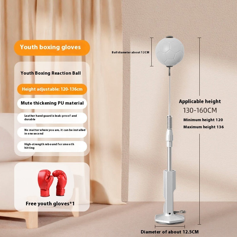 Boxing Rapid Response Ball Indoor Vertical Style