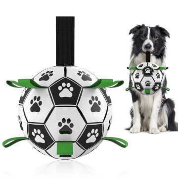 Interactive Football and Training Toy For Dogs - Inflated Outdoor Border Collie Balls For Large Dogs