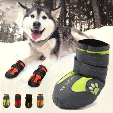 Big Dog Non-slip Shoes