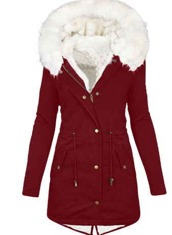 Women's Cotton Padded Jacket With White Collar