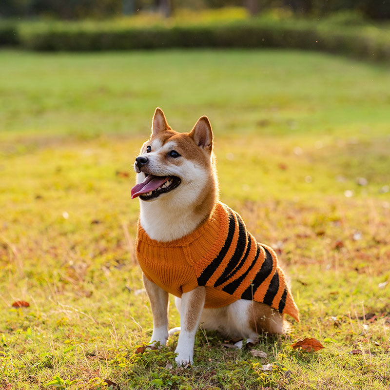 Pet Costume Teddy Warm Leisure Sweater - Halloween Dog Sweaters