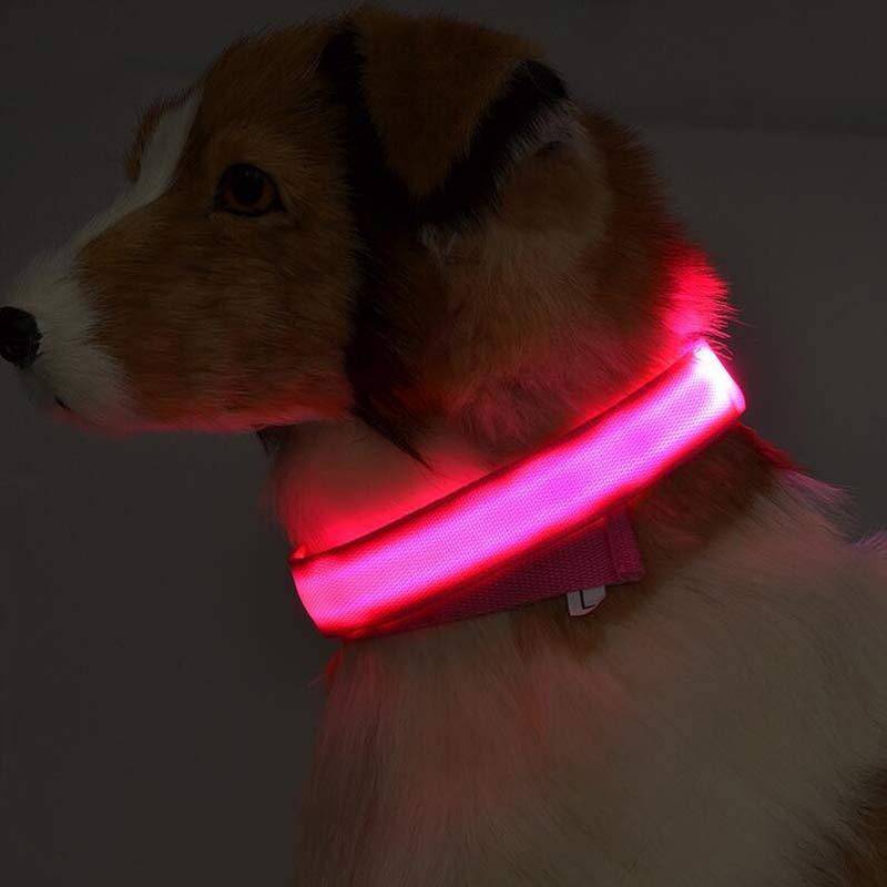 Adjustable Nylon LED Pet Luminous Collar Night Safety Flashing Light - Glows in Dark For Dog And Cat