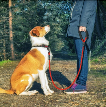 Reflective Pet Leash Suitable For Small, Medium, And Large Dogs - Can Serve As Walking and Training Rope For Dogs