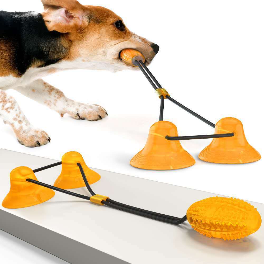 Suction Cup Pet Toys