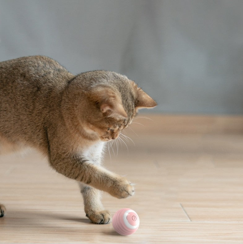 Automatic Moving Bouncing Rolling Ball For Indoor Cat Kitten - Smart Cat Self-Moving Toy Ball