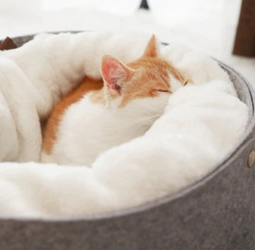 Pet Bed For Cats With Detachable Nest