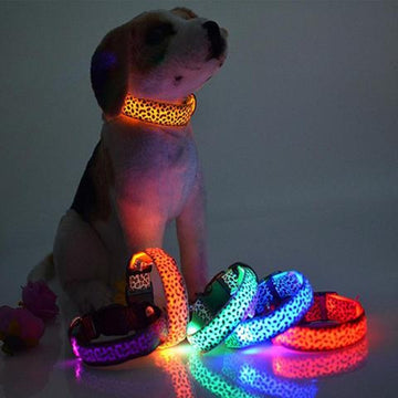LED Dog Collar Safety Light - Adjustable Pet LED Light