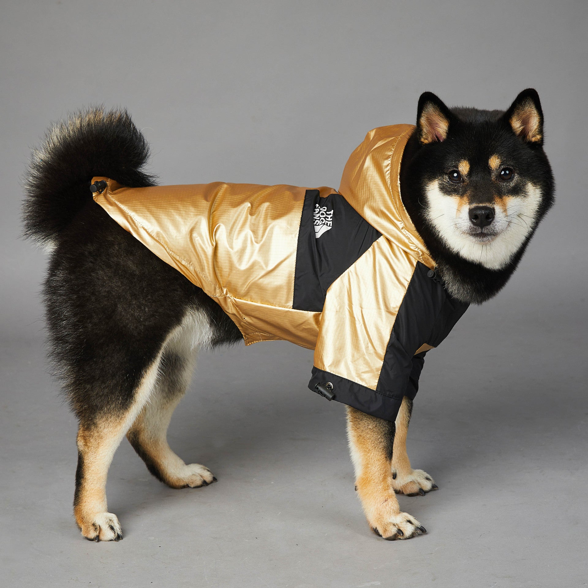 Large Dog Raincoat - Pet Jacket