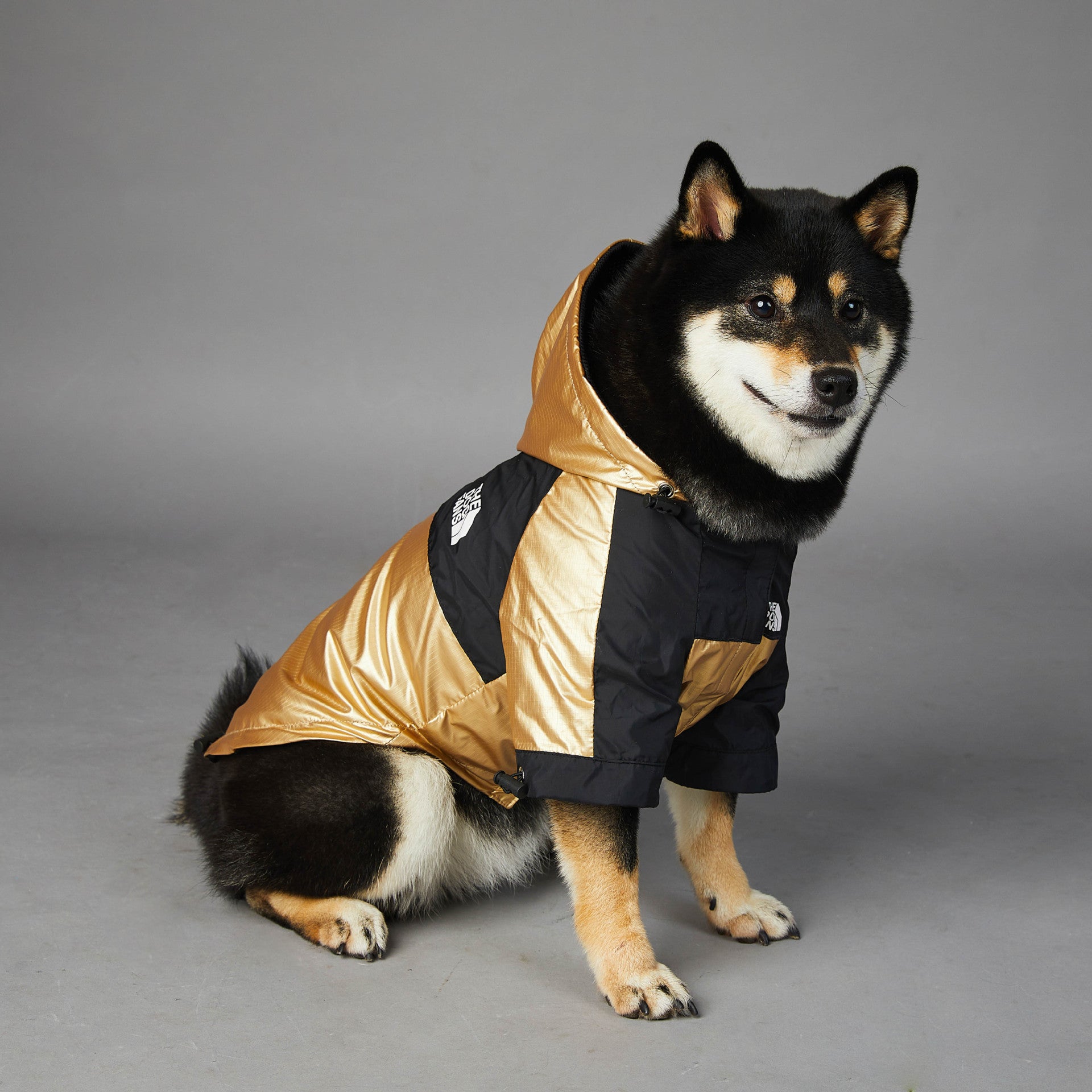 Large Dog Raincoat - Pet Jacket