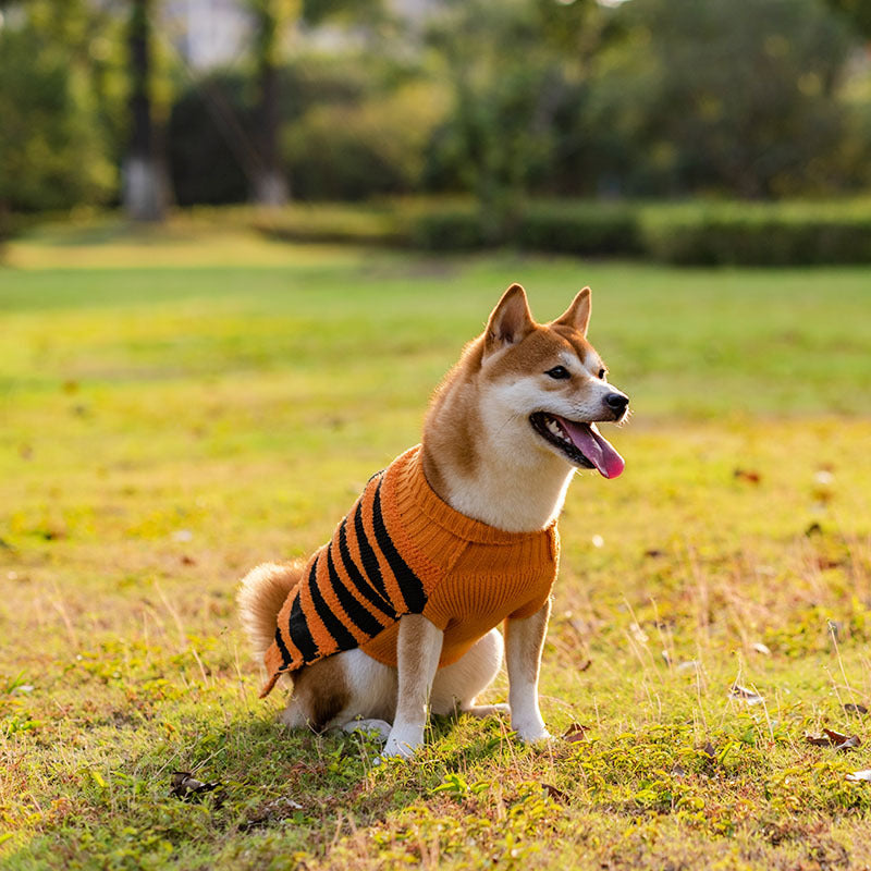 Pet Costume Teddy Warm Leisure Sweater - Halloween Dog Sweaters