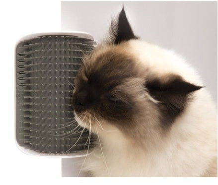 Cat Self-Grooming Brush With Wall Rubbing Device Feature