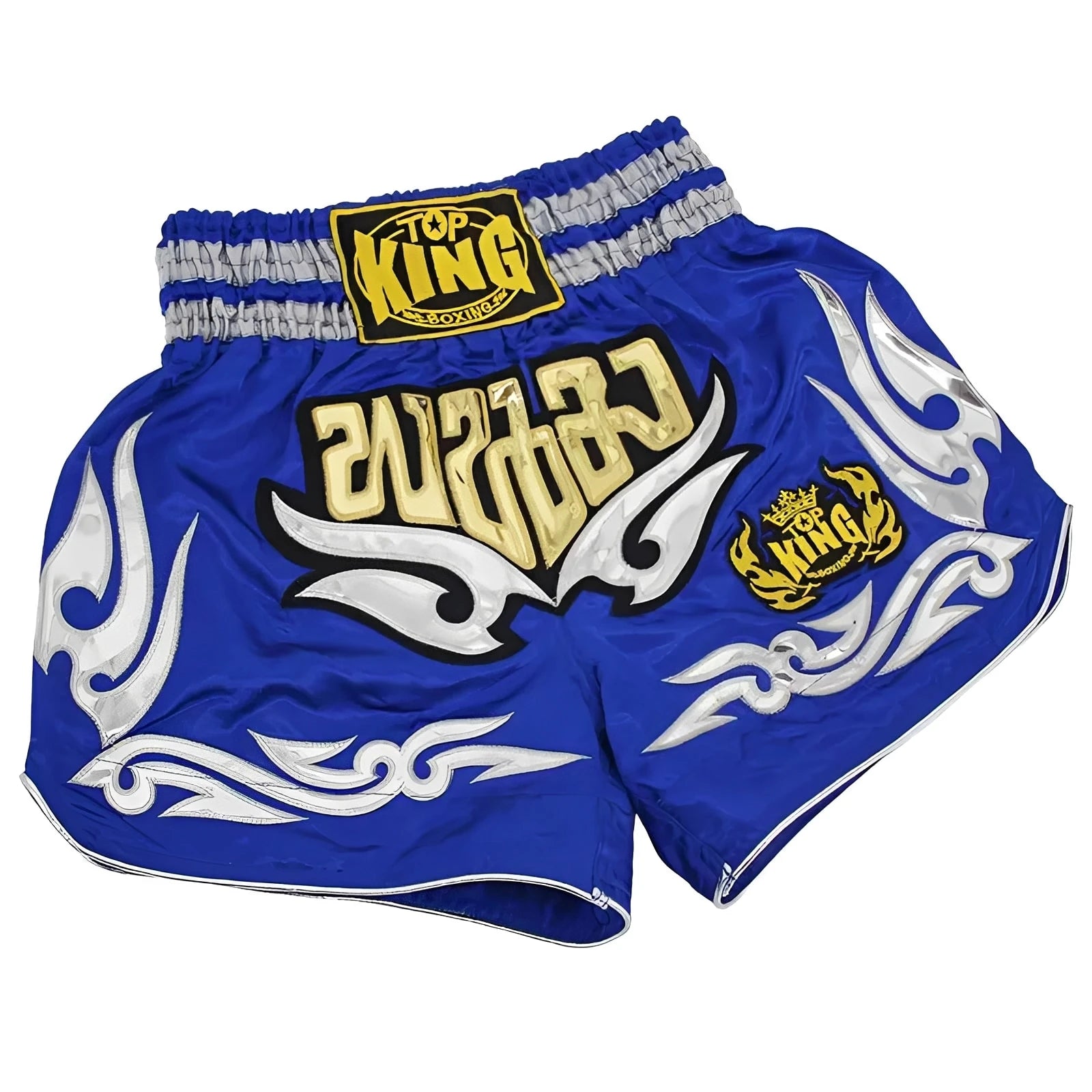 Men’s MMA Fight Shorts – Tiger Print Muay Thai, Kickboxing & Grappling Training Shorts for Boxing & Sanda