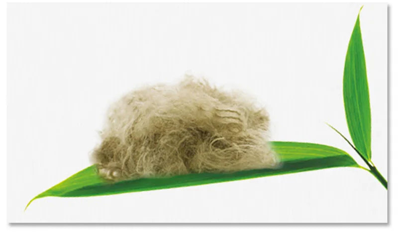 5/10 Pairs Spring Women's Harajuku Solid Thin Candy Colourful Bamboo Fibre Female Socks