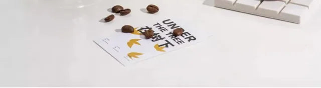 316 SS Vacuum Insulated Thermos Flask - 24/12Hr Hot/Cold Retention, Leakproof, Minimalist Design, Travel Mug Office & Car