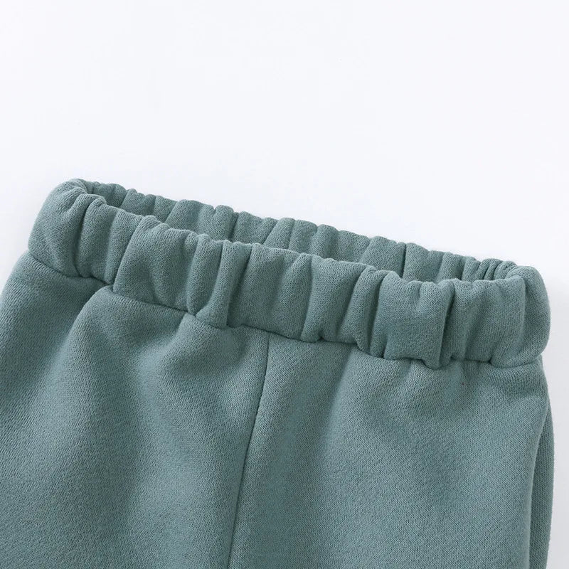 Baby Children's Fleece Lining Hoodies Set Spring Autumn Boys Sports Clothes 2PCS Girls Turtleneck Pullover Casual Suit 1-6Y Unisex