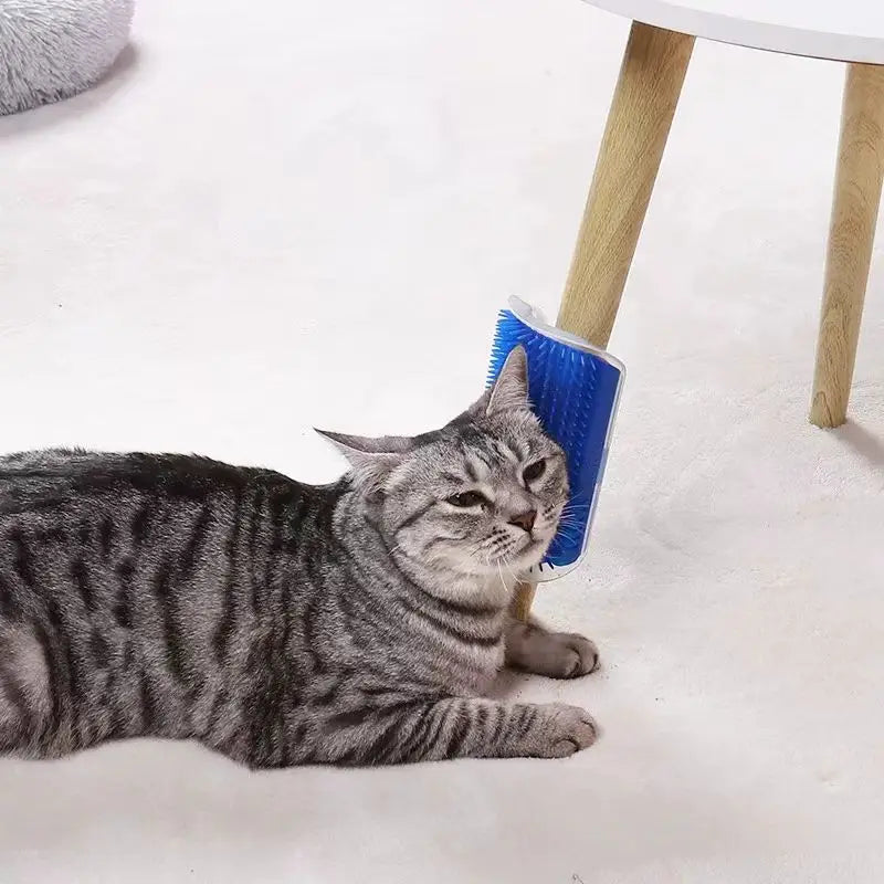 Kattenmassagetool, massagekam voor het verwijderen van dierenhaar, zelfreinigende borstel voor aan de muur, kattenspeelgoed, verzorgingsproducten voor huisdieren