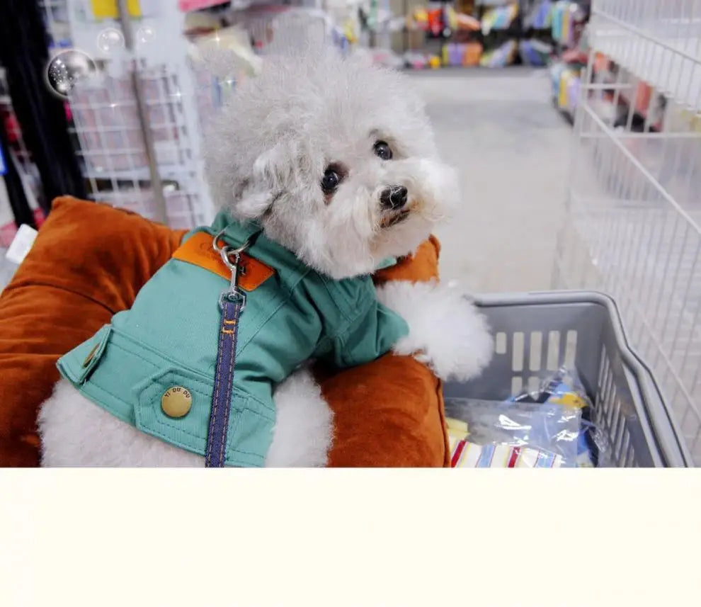 Spring Dog Suit Outfits Denim Coat Clothes with D Leash Ring for Small Medium Dogs Puppies Pet Color Jean small Dog Costume