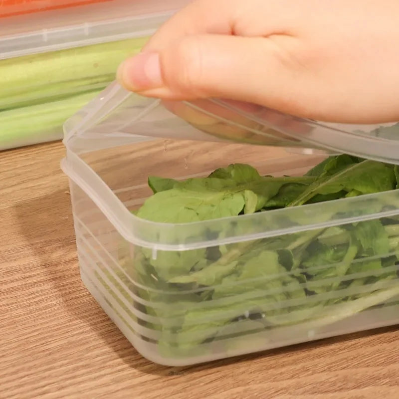 1/5 STUKS Koelkast Opbergdozen Bosui Koriander Vershouddoos met Deksels Herbruikbare Keuken Voedsel Verzegelde Opbergcontainer