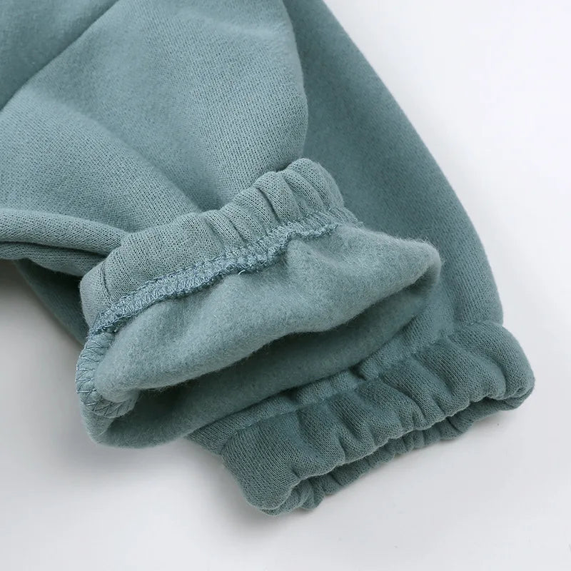 Baby Children's Fleece Lining Hoodies Set Spring Autumn Boys Sports Clothes 2PCS Girls Turtleneck Pullover Casual Suit 1-6Y Unisex