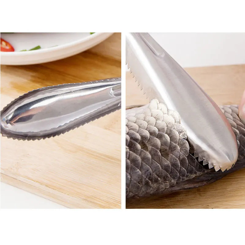 Fish Scaler Remover Cleaner With Sawtooth Easily Remove Fish Scales For Home Kitchen Fish Cleaning Seafood Tools Descaler