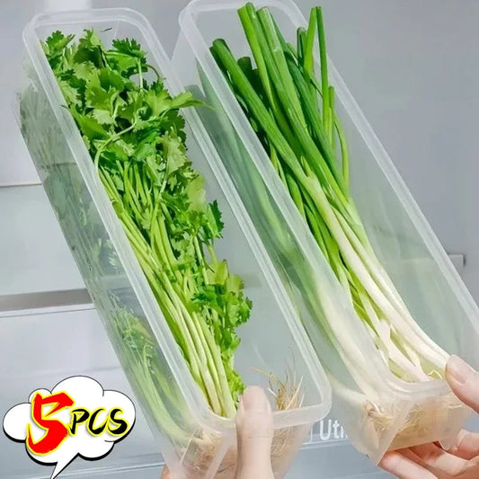 1/5 STUKS Koelkast Opbergdozen Bosui Koriander Vershouddoos met Deksels Herbruikbare Keuken Voedsel Verzegelde Opbergcontainer