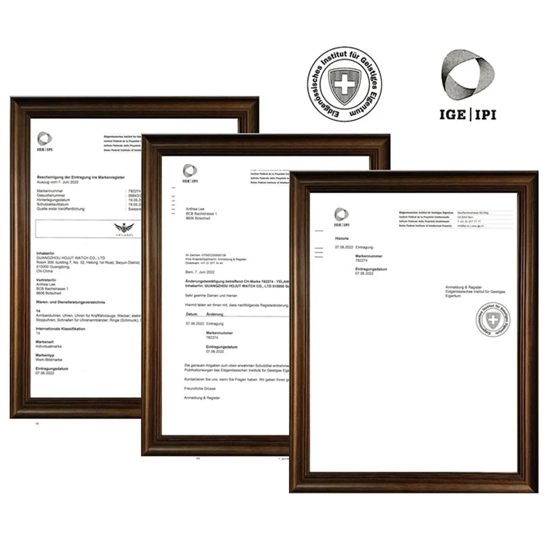 Yelang V1030 Men Brand Watches Japan MIYOTA 8219 Automatic Mechanical Luxury Wristwatch Swiss Luminous Waterproof T100 Watch