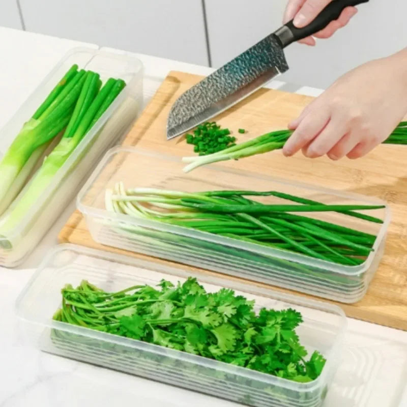 1/5 STUKS Koelkast Opbergdozen Bosui Koriander Vershouddoos met Deksels Herbruikbare Keuken Voedsel Verzegelde Opbergcontainer