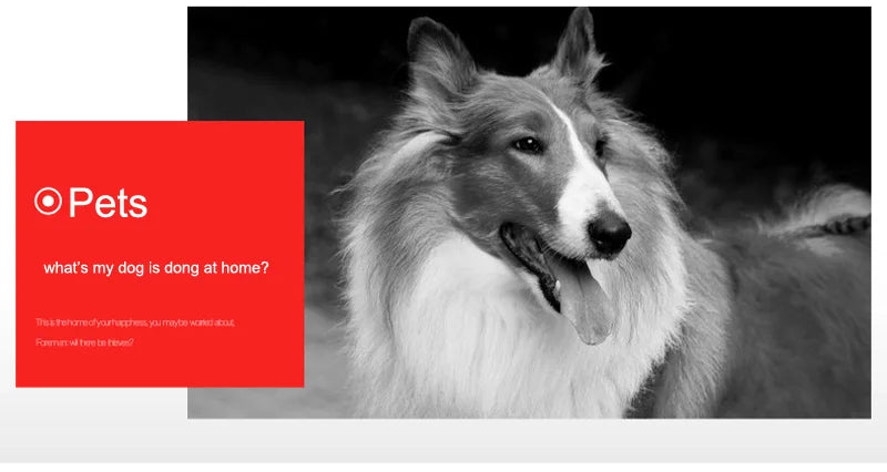 JIENUO 5MP Wifi Camera IP Outdoor Waterproof Wireless NightVision Onvif 1080P Audio Security Surveillance HD 2mp Home Cam CamHi