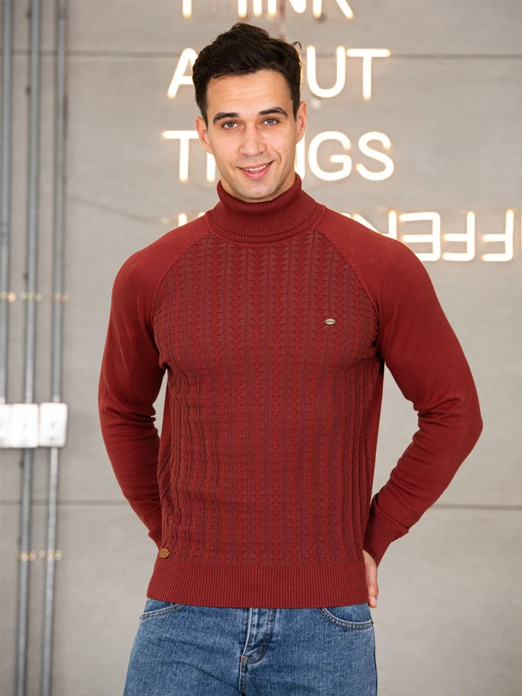 Men's Solid Colour Knitted Turtleneck Male Sweater Cotton High Quality Warm Pullover Winter Casual Sweaters for Men