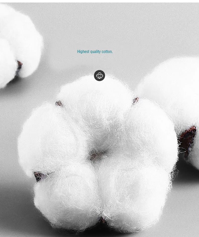 5 Pairs Summer Men's Cotton Short Mesh Harajuku Comfortable Solid Colour Casual Ankle Socks Male Net Sneaker Socks