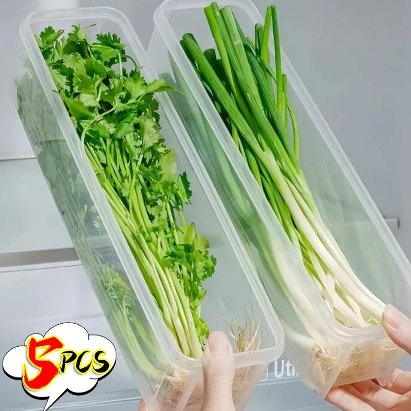 1/5 STUKS Koelkast Opbergdozen Bosui Koriander Vershouddoos met Deksels Herbruikbare Keuken Voedsel Verzegelde Opbergcontainer