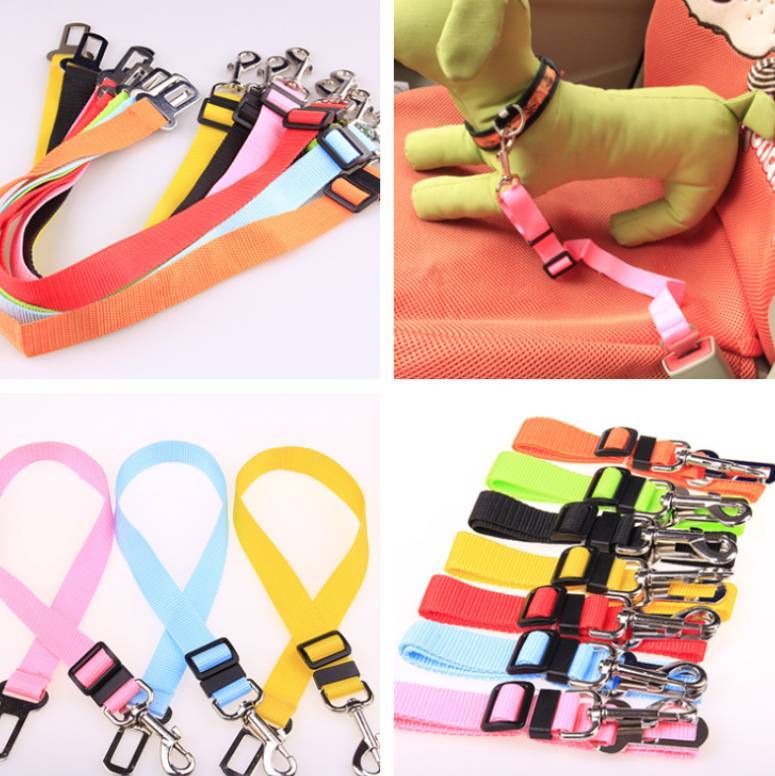 Fixed Strap Polyester Dog Strap - Dog Leash