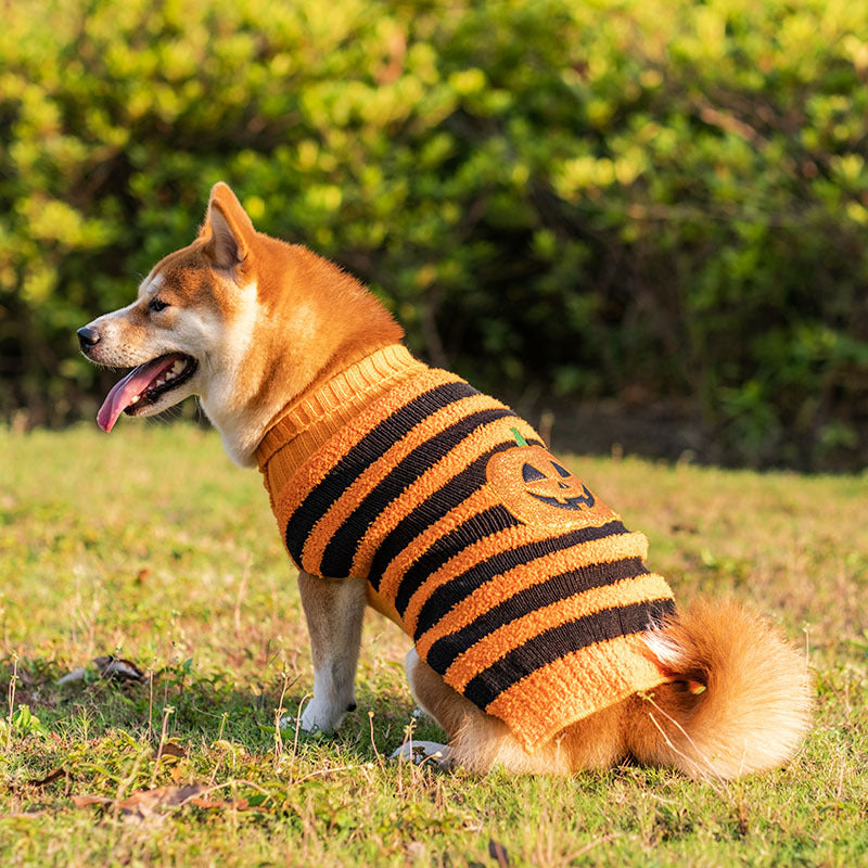 Pet Costume Teddy Warm Leisure Sweater - Halloween Dog Sweaters