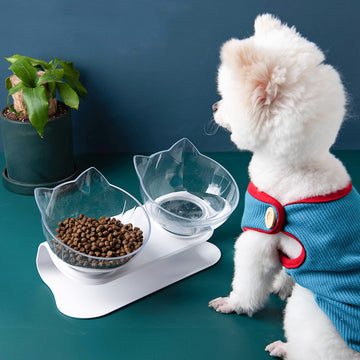 Inclined Transparent Single Pet Food Bowl For Cats - Ear Oblique Mouth