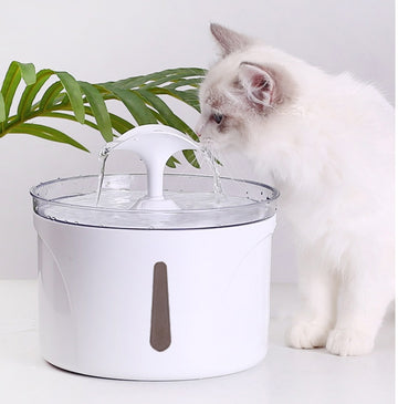 Pet Water Dispenser With Intelligent Automatic Circulating Filter